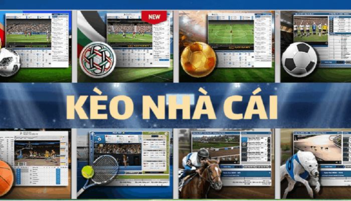 Anh em nhớ đọc kỹ bảng tỷ lệ kèo nhà cái Kubet